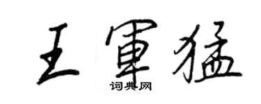 王正良王軍猛行書個性簽名怎么寫