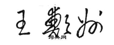 駱恆光王鄭州草書個性簽名怎么寫