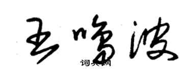 朱錫榮王鳴波草書個性簽名怎么寫