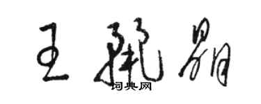 駱恆光王麗晶草書個性簽名怎么寫