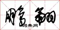 朱錫榮鵬翮草書怎么寫