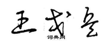 曾慶福王戈兵草書個性簽名怎么寫