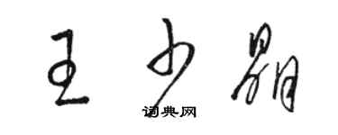 駱恆光王少晶草書個性簽名怎么寫