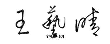駱恆光王藝晴草書個性簽名怎么寫