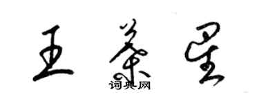 梁錦英王葉星草書個性簽名怎么寫