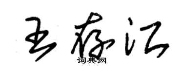 朱錫榮王存江草書個性簽名怎么寫