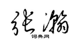 梁錦英張瀚草書個性簽名怎么寫