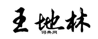 胡問遂王地林行書個性簽名怎么寫