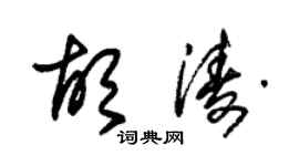 朱錫榮胡濤草書個性簽名怎么寫