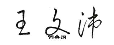 駱恆光王文沛草書個性簽名怎么寫