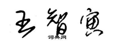 朱錫榮王智寅草書個性簽名怎么寫