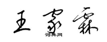 梁錦英王家霖草書個性簽名怎么寫