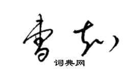 梁錦英曹知草書個性簽名怎么寫