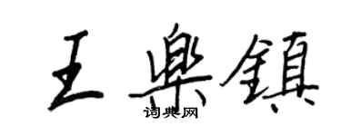 王正良王樂鎮行書個性簽名怎么寫