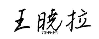 王正良王曉拉行書個性簽名怎么寫