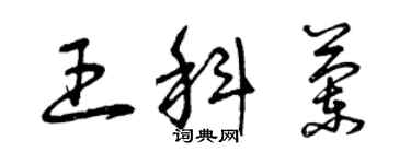 曾慶福王科蘭草書個性簽名怎么寫