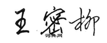 駱恆光王密柳行書個性簽名怎么寫