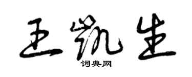 曾慶福王凱生草書個性簽名怎么寫