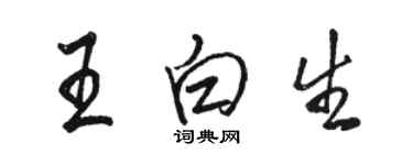 駱恆光王白生行書個性簽名怎么寫