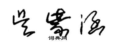 朱錫榮吳紫涵草書個性簽名怎么寫