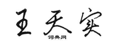 駱恆光王天實行書個性簽名怎么寫