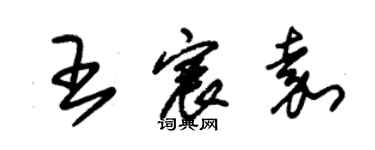 朱錫榮王宸嘉草書個性簽名怎么寫