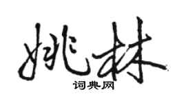 駱恆光姚林行書個性簽名怎么寫