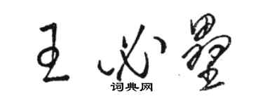 駱恆光王必壘草書個性簽名怎么寫