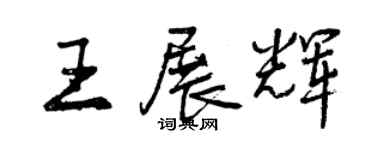 曾慶福王展輝行書個性簽名怎么寫
