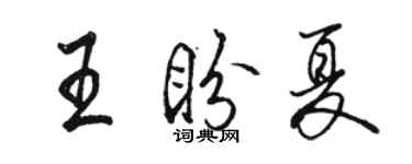 駱恆光王盼夏行書個性簽名怎么寫