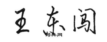 駱恆光王東闖行書個性簽名怎么寫