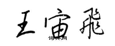 王正良王宙飛行書個性簽名怎么寫