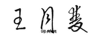 駱恆光王月雙草書個性簽名怎么寫