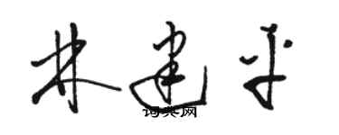 駱恆光林建平草書個性簽名怎么寫