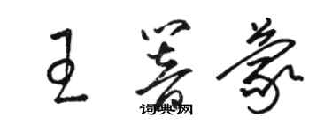 駱恆光王響蒙草書個性簽名怎么寫