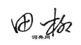 駱恆光田柳草書個性簽名怎么寫