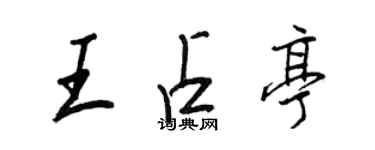 王正良王占亭行書個性簽名怎么寫