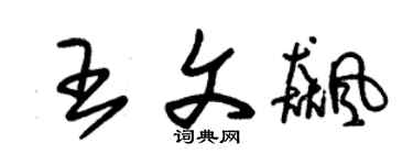 朱錫榮王文飆草書個性簽名怎么寫