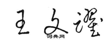 駱恆光王文躍草書個性簽名怎么寫