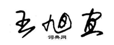 朱錫榮王旭宜草書個性簽名怎么寫