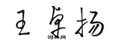 駱恆光王卓揚草書個性簽名怎么寫