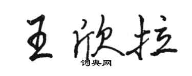 駱恆光王欣拉行書個性簽名怎么寫