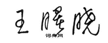 駱恆光王曙曉草書個性簽名怎么寫