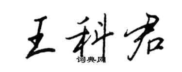 王正良王科君行書個性簽名怎么寫