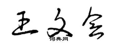 曾慶福王文會草書個性簽名怎么寫