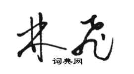 駱恆光林飛草書個性簽名怎么寫