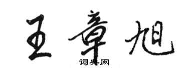 駱恆光王章旭行書個性簽名怎么寫