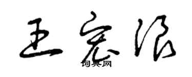 曾慶福王宏浪草書個性簽名怎么寫