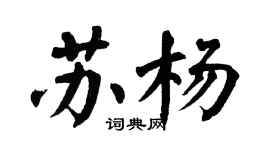 翁闓運蘇楊楷書個性簽名怎么寫