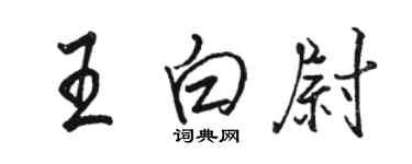 駱恆光王白尉行書個性簽名怎么寫